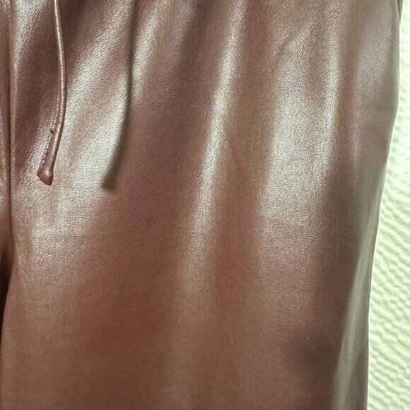 LOFT Women's Faux Leather Brown Pull On Lined Straight Pants With Pockets Sz L - Picture 5 of 11